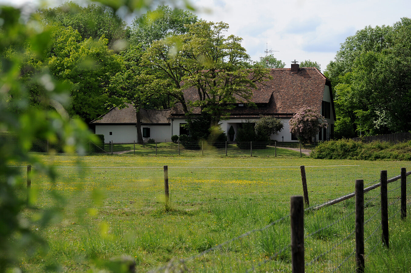 Weißes Haus mit Garten, umgeben von Bäumen, im Hintergrund eines grünen Feldes.